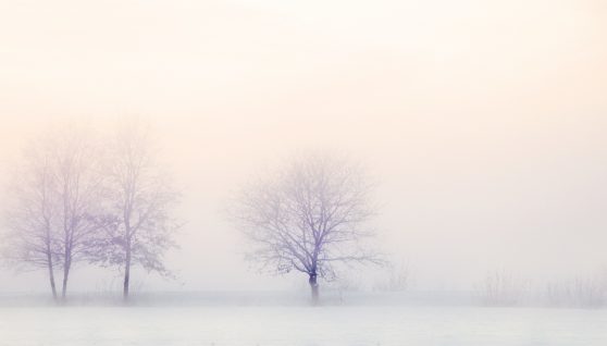 Wo ist Urlaub im März am Schönsten? auf meinegeschichten.de